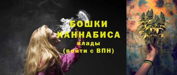 стаф Майский