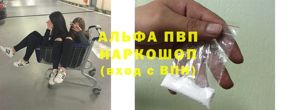 прущий лед Магас