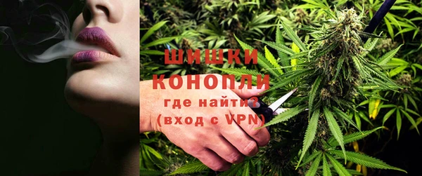 стаф Майский