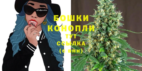 стаф Майский