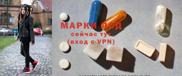 стаф Майский