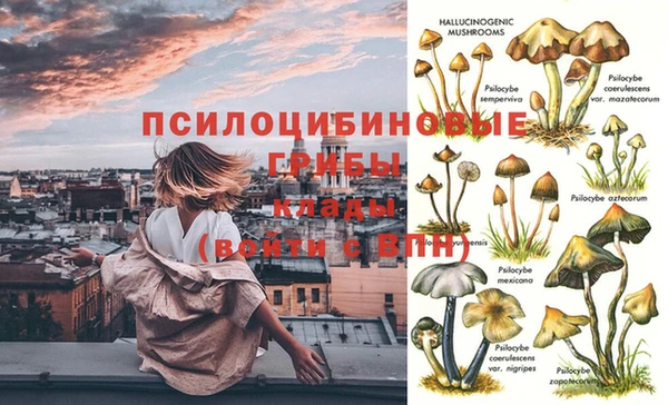 прущий лед Магас