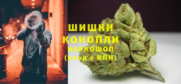 стаф Майский